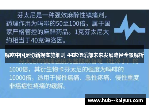 解密中国足协新规实施细则 44家俱乐部未来发展路径全景解析