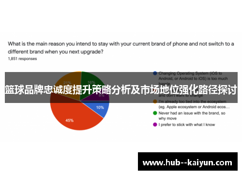 篮球品牌忠诚度提升策略分析及市场地位强化路径探讨 篮球品牌忠诚度提升策略分析及市场地位强化路径探讨